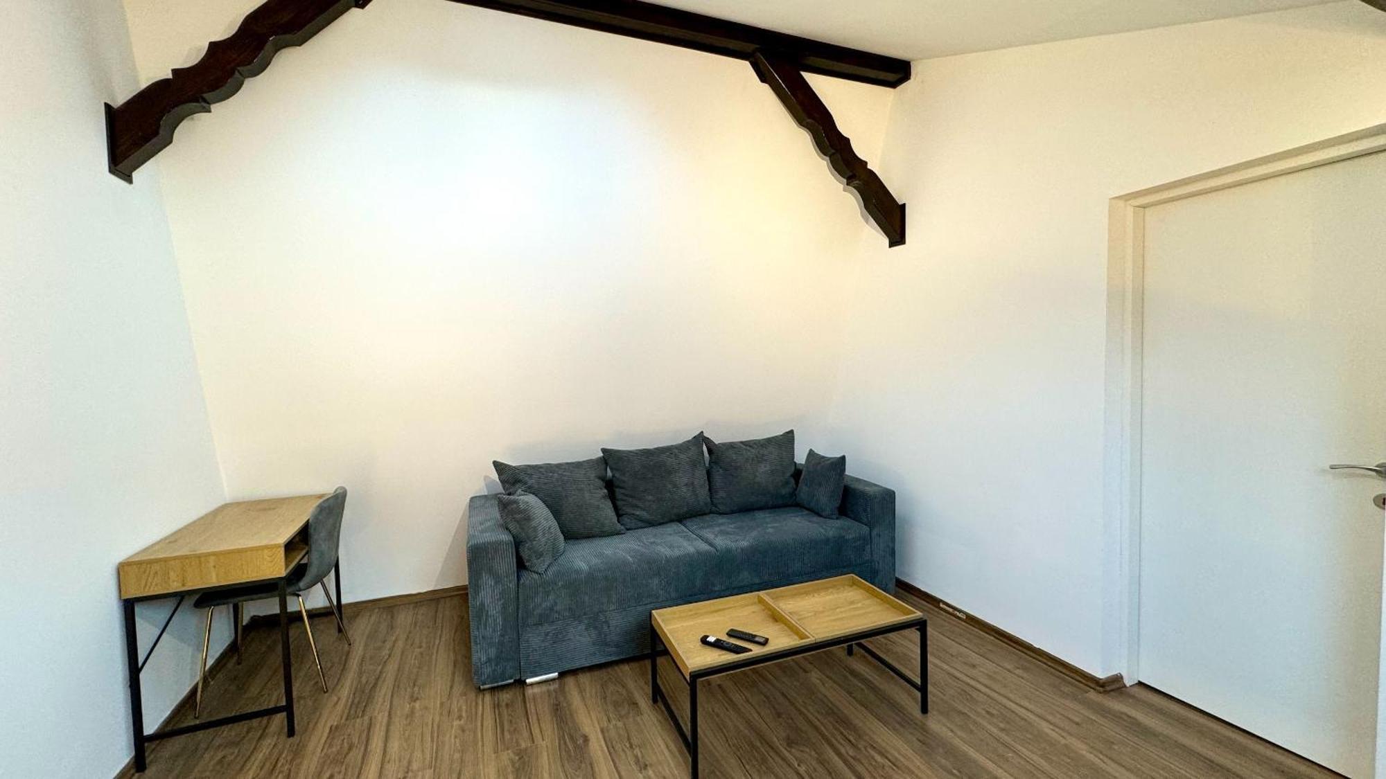 Busteni Mountain View Suites By The River - Ev Plug 객실 사진