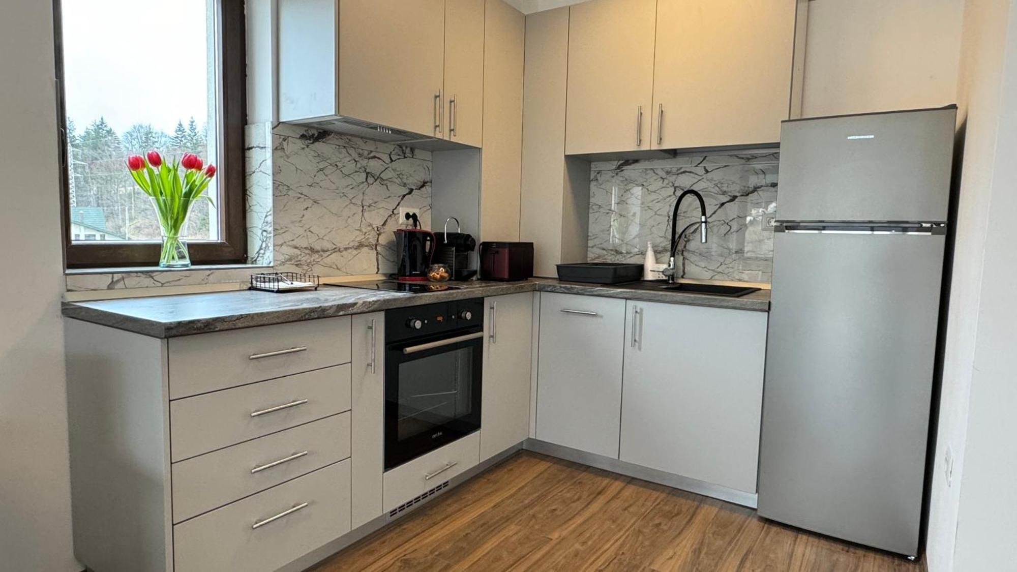 Busteni Mountain View Suites By The River - Ev Plug 외부 사진
