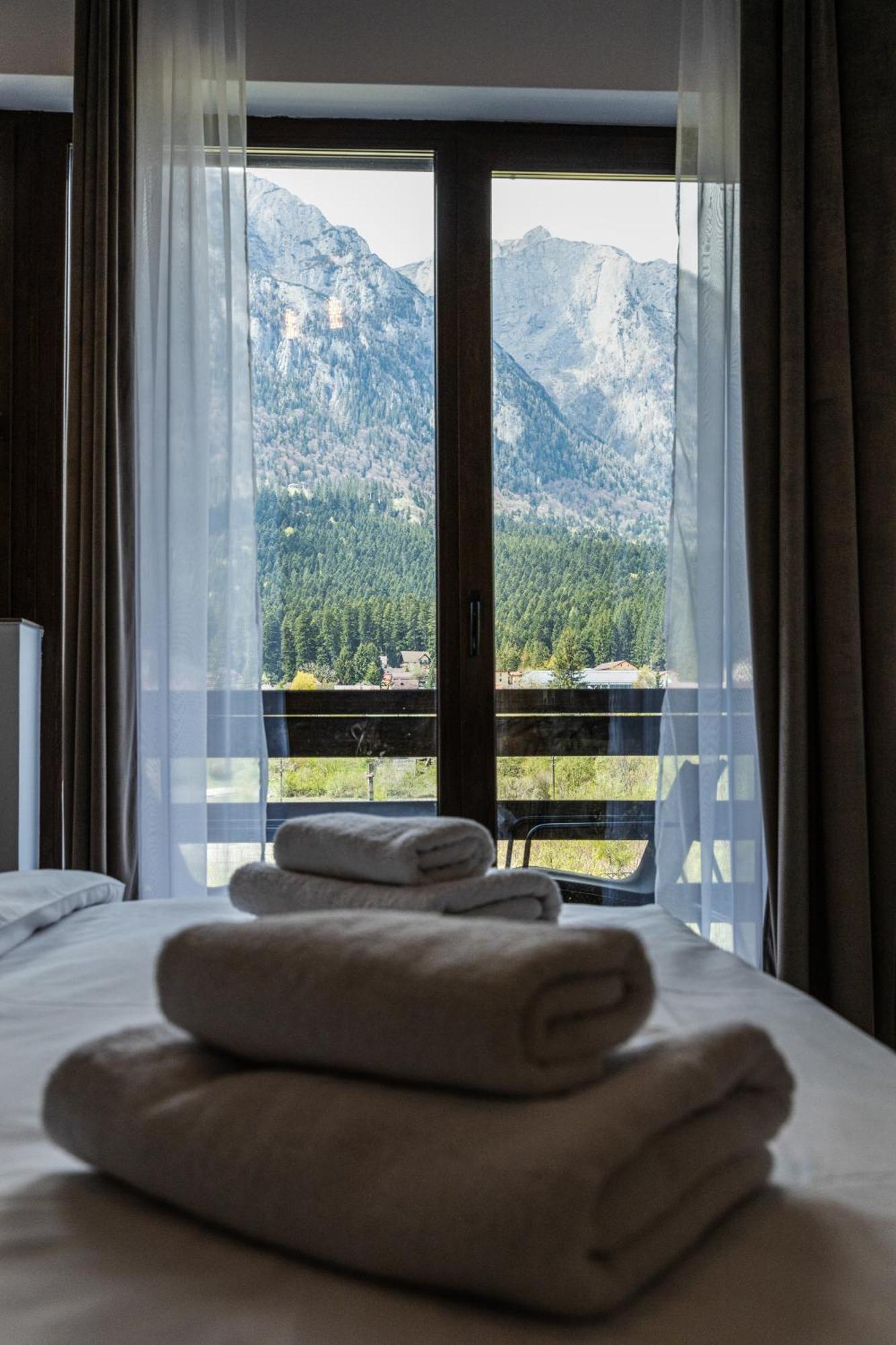 Busteni Mountain View Suites By The River - Ev Plug 외부 사진